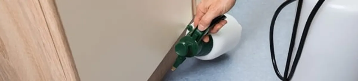 Bed bug exterminator treating baseboards and cracks with targeted spray in Sioux Falls, SD