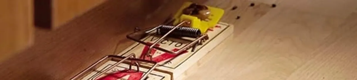 Rodent trap set indoors for rodent control and prevention in Sioux Falls, SD